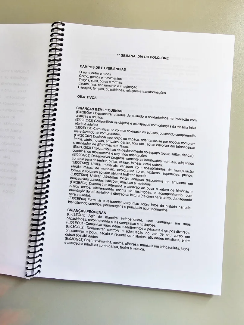Projeto Folclore para Educação Infantil — imagem 5