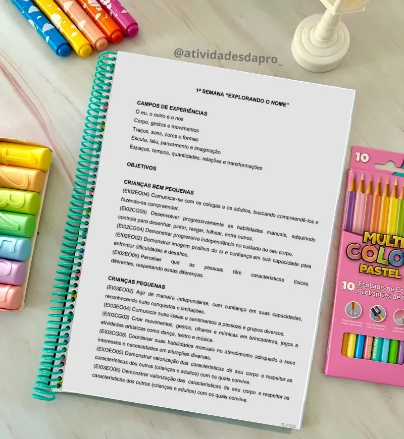 Projeto Identidade: Educação Infantil — imagem 2