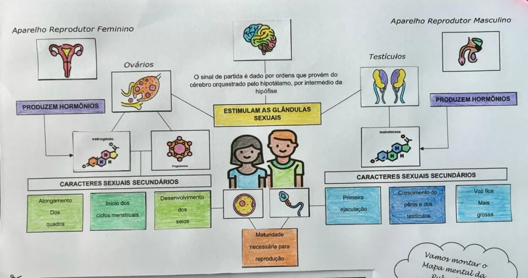 Puberdade/Sexualidade Mapa Mental Recorte e Colagem em PDF 8° Ano — imagem 2