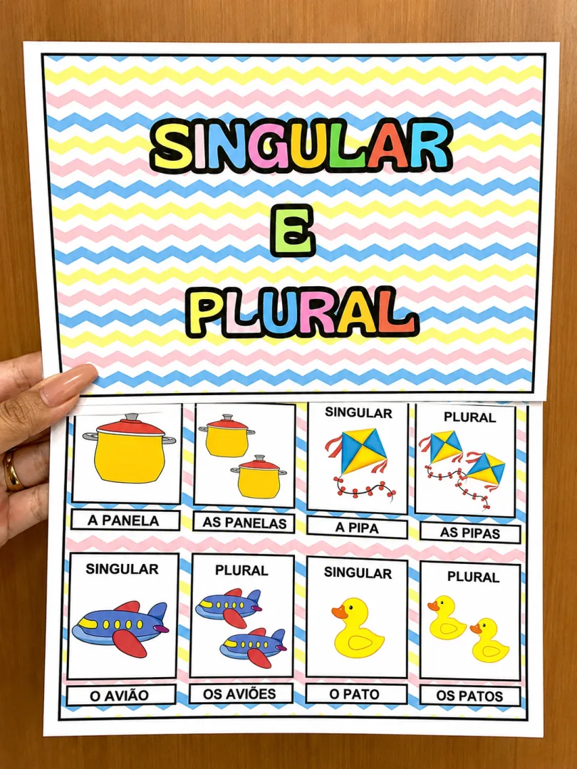Recurso Singular e Plural — imagem 2