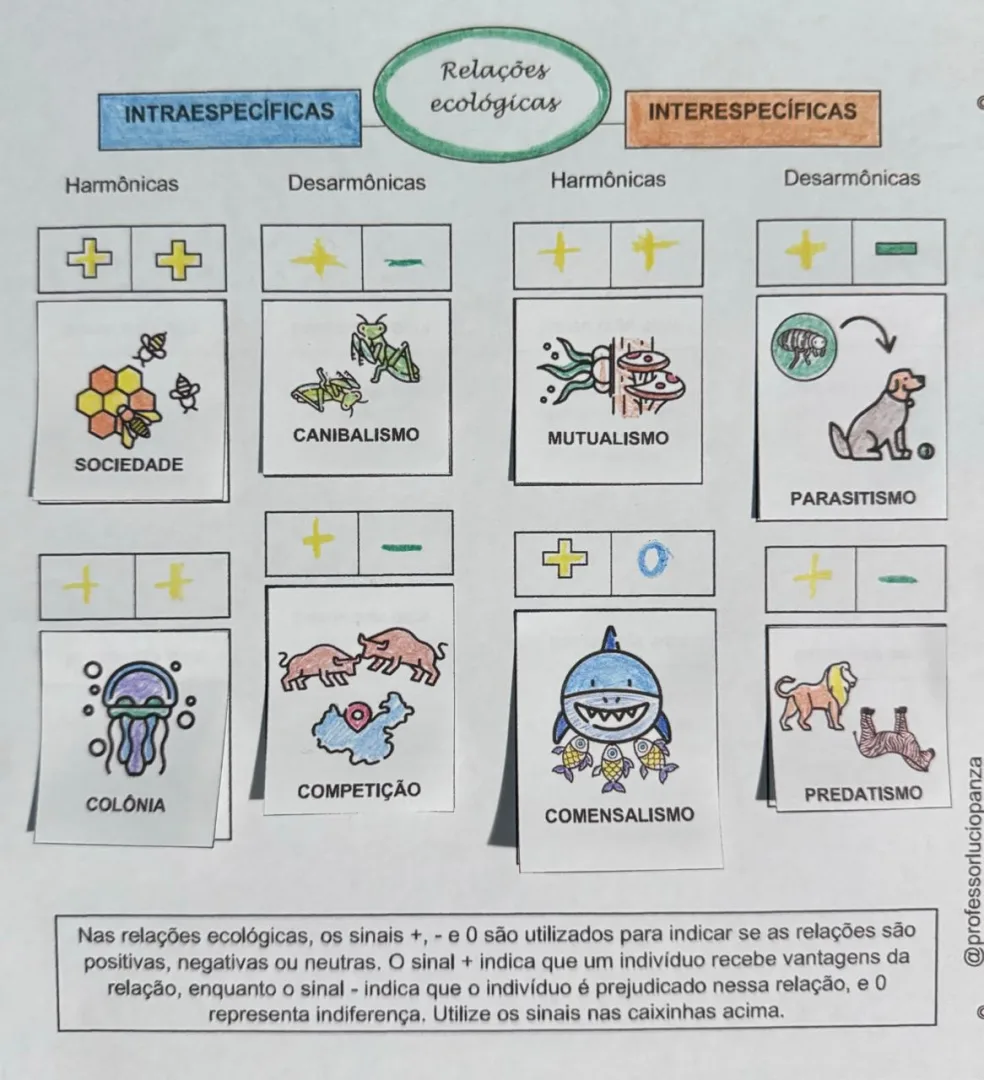 Relações Ecológicas Mapa Mental Recorte e Colagem em PDF 7° Ano — imagem 2