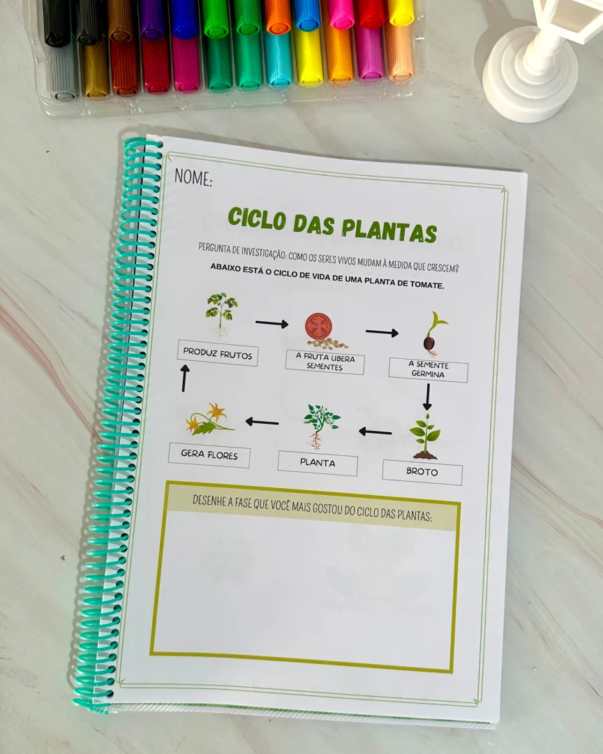 Sequência Temporal — imagem 2