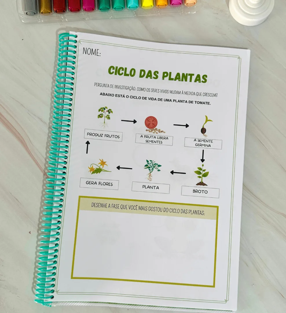 Sequência Temporal — imagem 2