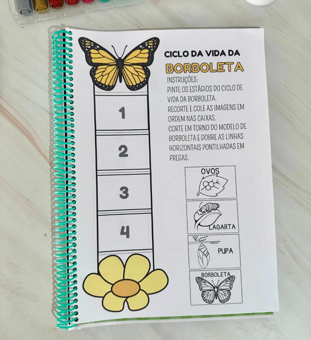 Sequência Temporal — imagem 6