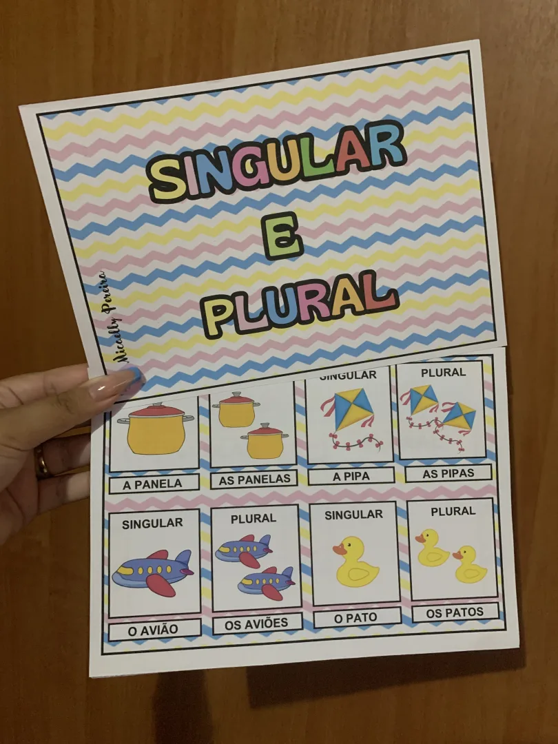 SINGULAR E PLURAL — imagem 5
