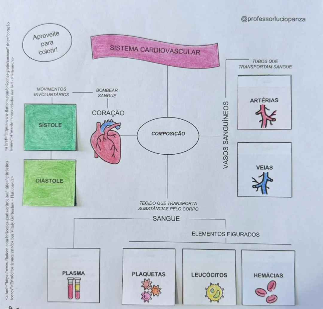 Sistema Cardiovascular Mapa Mental Recorte e Colagem em PDF 8°ano — imagem 2