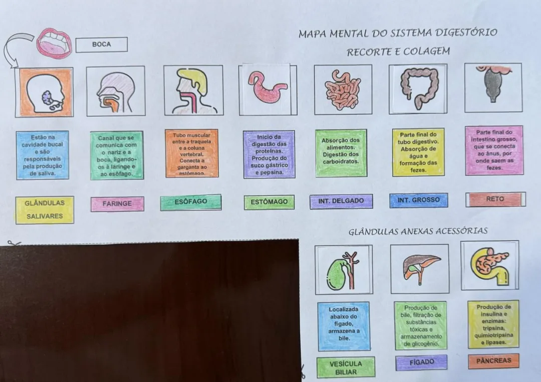 Sistema Digestório Mapa Mental Recorte e Colagem em PDF 8° Ano — imagem 2