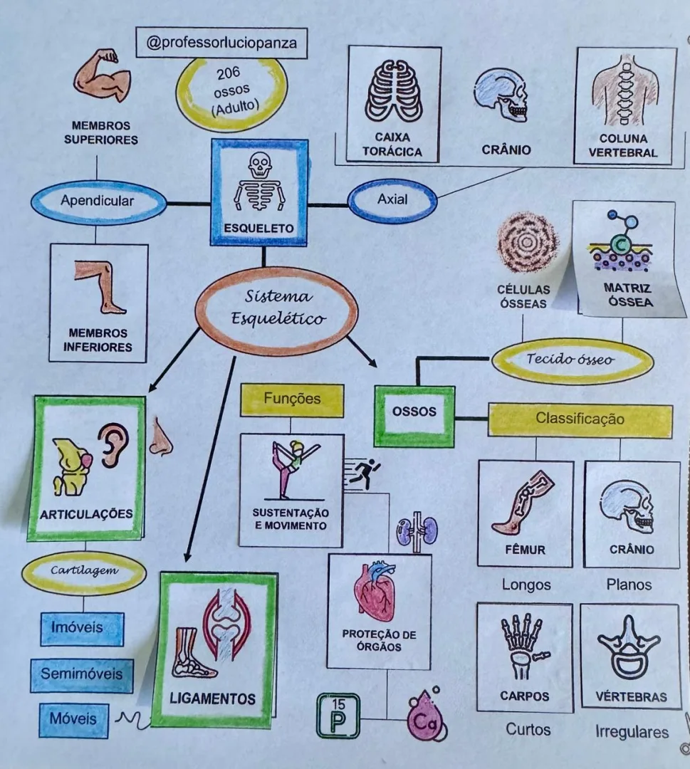 Sistema Esquelético mapa mental recorte e colagem em PDF 6° ano — imagem 2