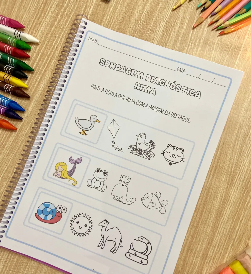 Sondagem Diagnóstica Completa — imagem 6