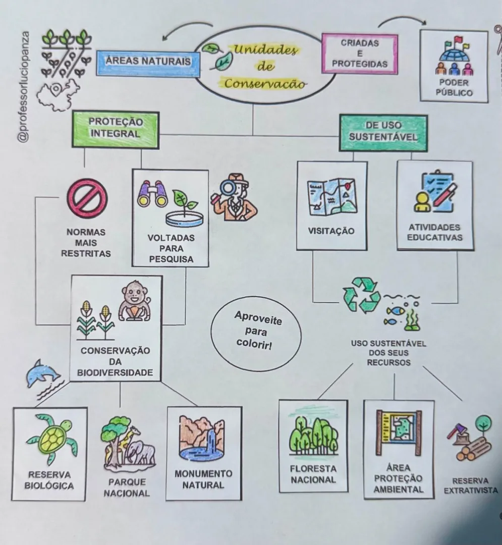Unidades de Conservação Mapa Mental Recorte e Colagem em PDF 9° Ano — imagem 2