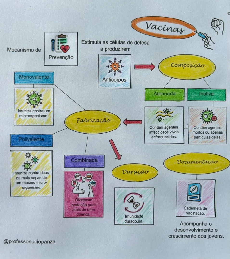 Vacinas Mapa Mental Recorte e Colagem em PDF 7° Ano — imagem 2