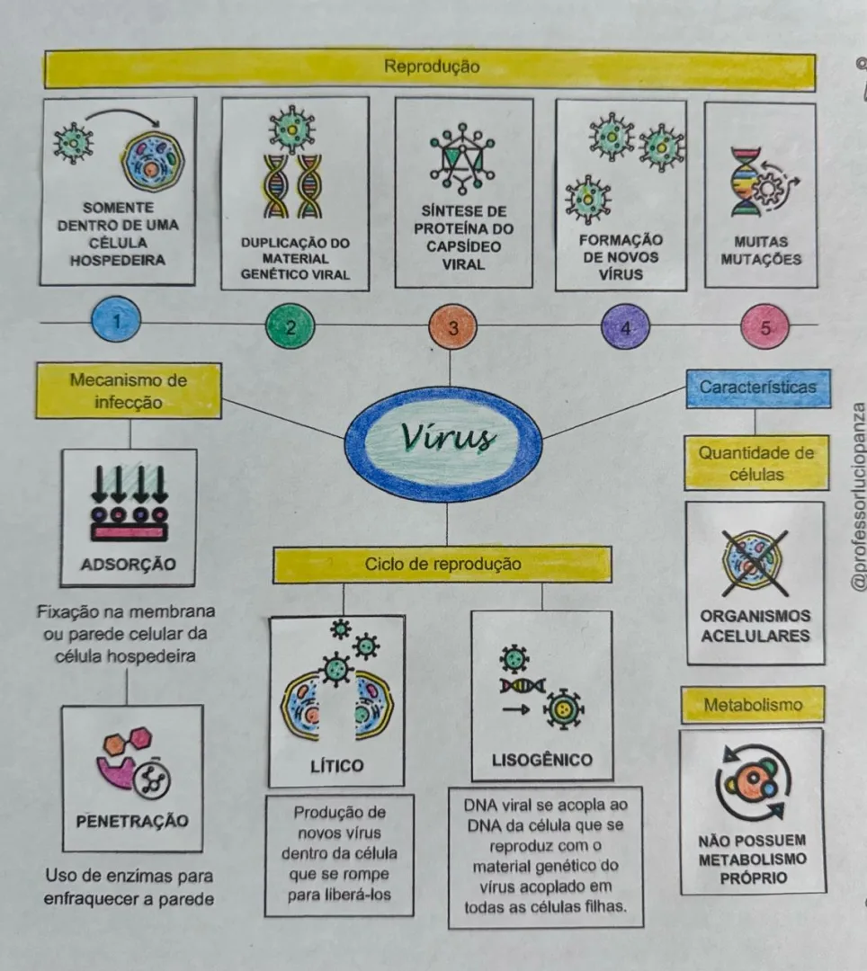 Vírus Mapa Mental Recorte e Colagem em PDF 7° Ano — imagem 2