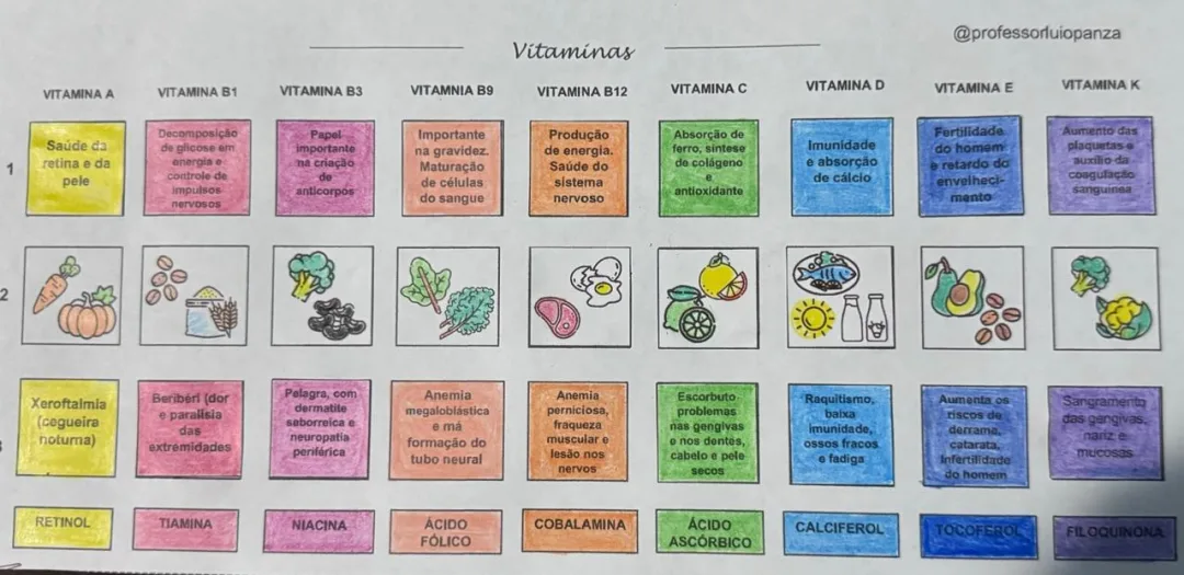 Vitaminas Mapa Mental Recorte e Colagem em PDF 8° Ano — imagem 2